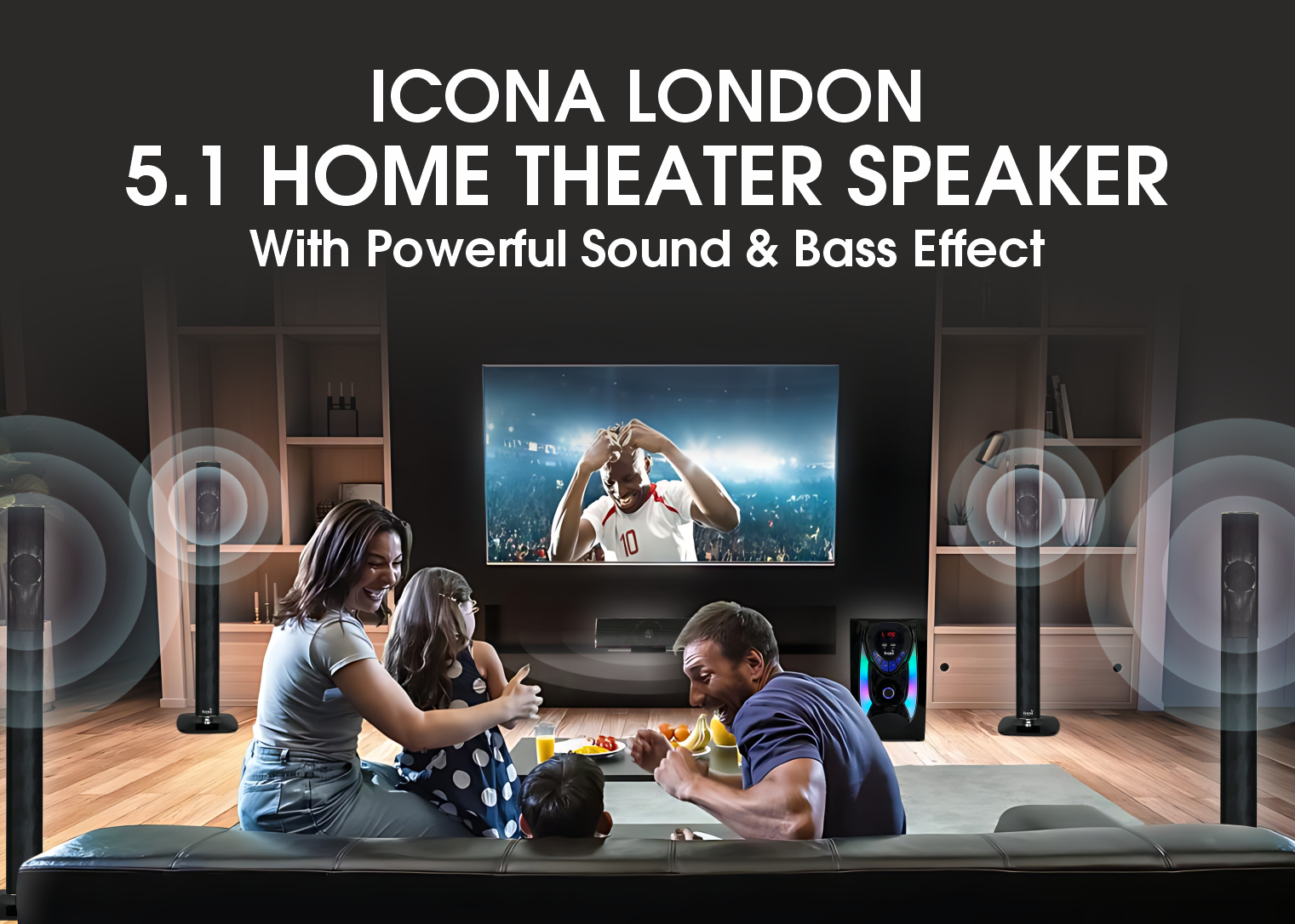 5.1 Home Theater Speaker