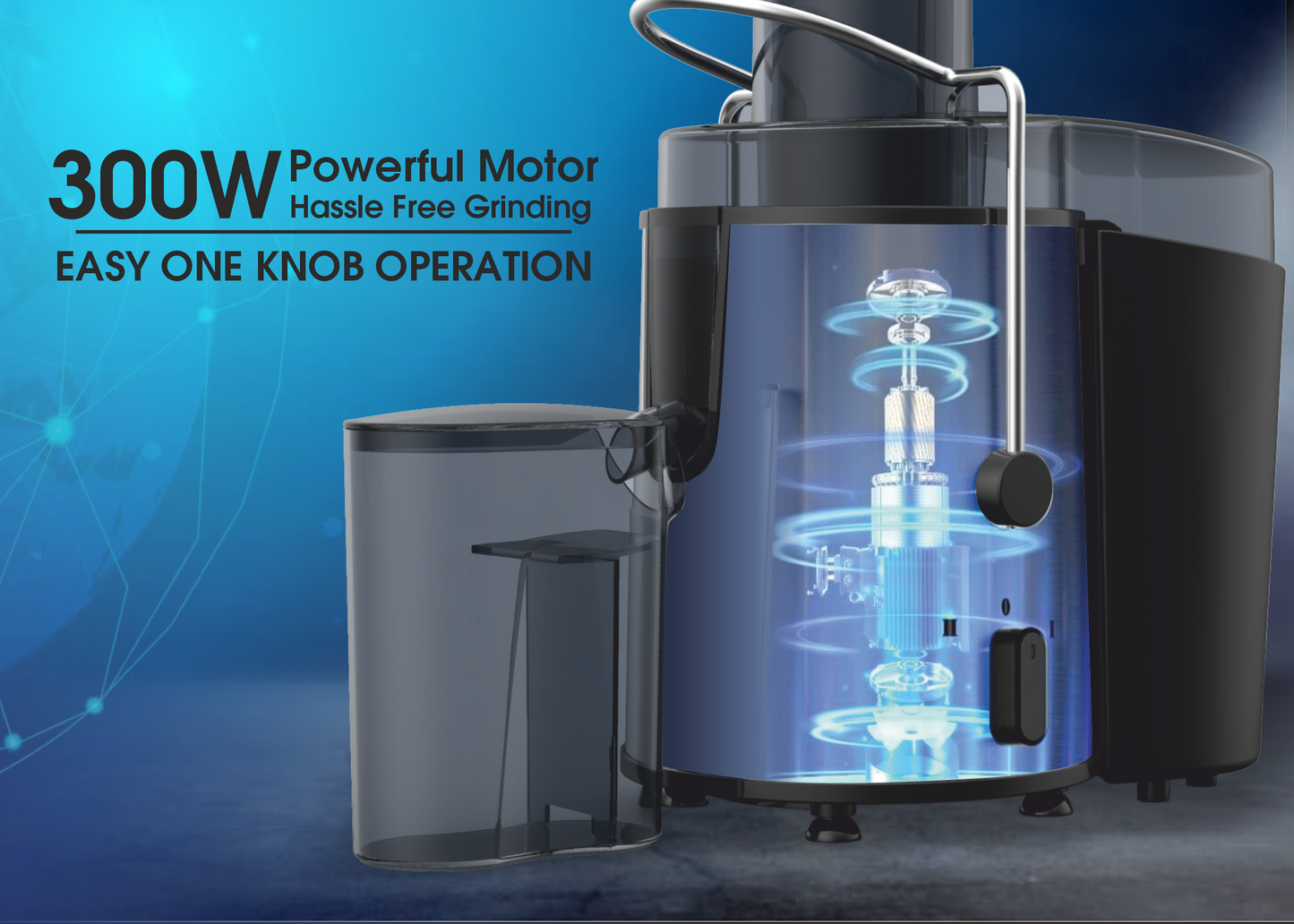 Electric Juicer