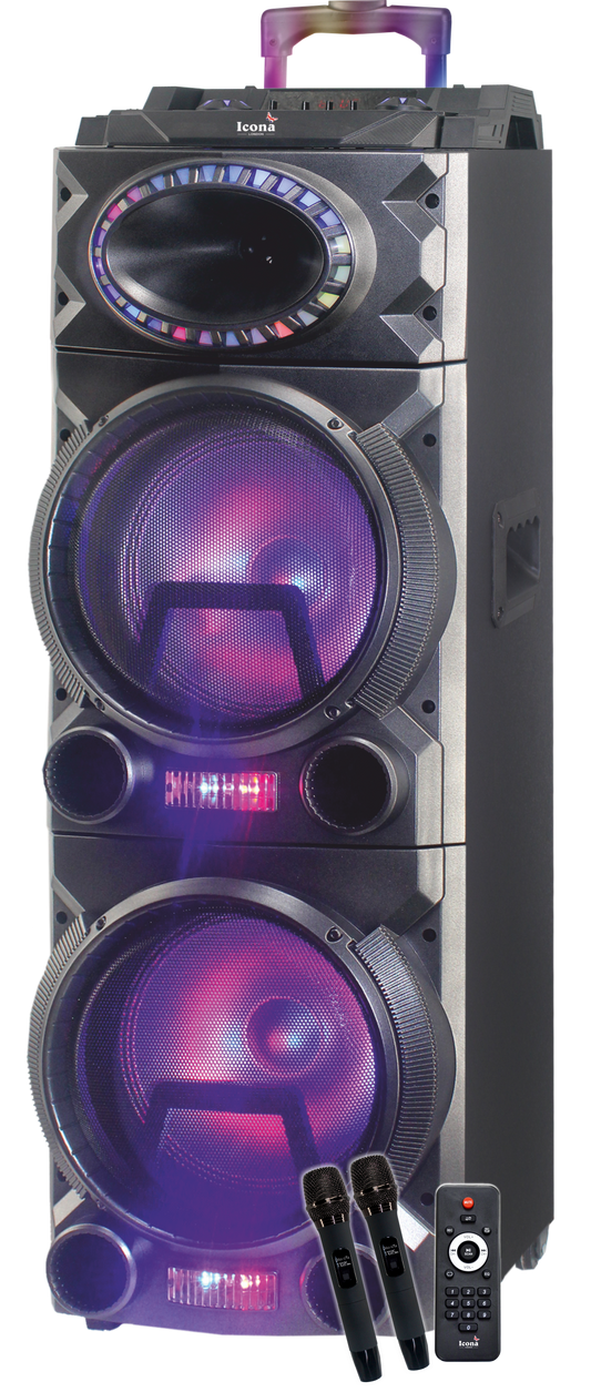 Portable Party Speaker